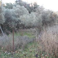 Land plot in Greece, 1058 sq.m.