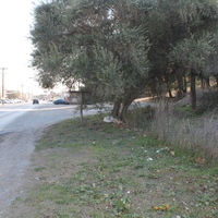 Land plot in Greece, 1058 sq.m.