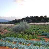 Земельный участок в Греции