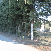 Land plot in Greece, 15000 sq.m.
