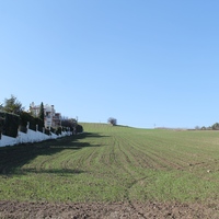 Land plot in Greece, 3500 sq.m.