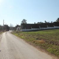 Land plot in Greece, 3500 sq.m.