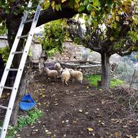 Земельный участок в Греции