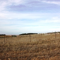 Land plot in Greece, 4400 sq.m.