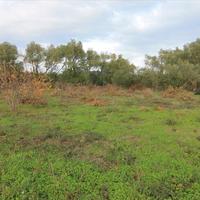 Другое в Греции, 200 кв.м.