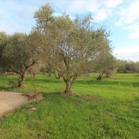 Другое в Греции, 200 кв.м.