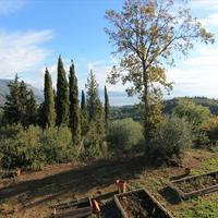 Другое в Греции, 150 кв.м.