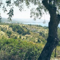 Земельный участок в Греции