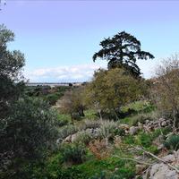 Земельный участок в Греции