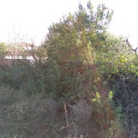 Земельный участок в Греции