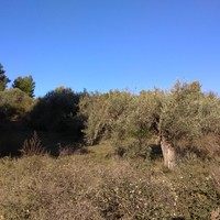 Земельный участок в Греции