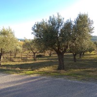 Земельный участок в Греции