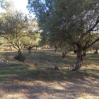 Земельный участок в Греции