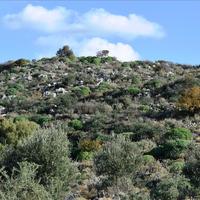 Other in Greece, 85 sq.m.