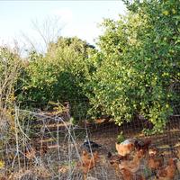 Other in Greece, 85 sq.m.