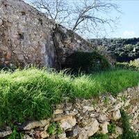 Land plot in Greece, 60 sq.m.