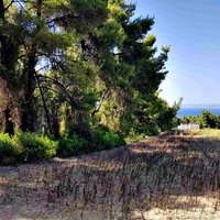 Земельный участок в Греции