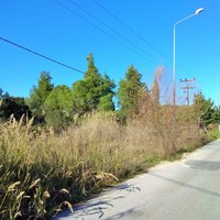 Land plot in Greece