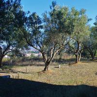 Другое в Греции, 380 кв.м.