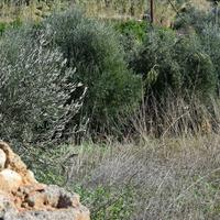 Земельный участок в Греции