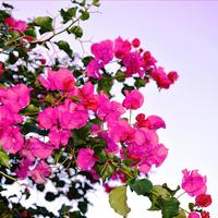 Other in Greece, 200 sq.m.