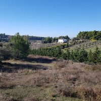 Other in Greece, 300 sq.m.