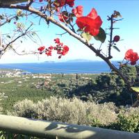 Villa in Greece, 230 sq.m.