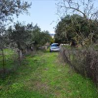 Land plot in Greece