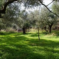 Land plot in Greece