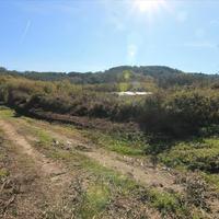 Land plot in Greece