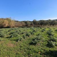 Land plot in Greece