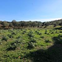 Land plot in Greece