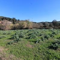 Land plot in Greece