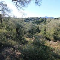 Земельный участок в Греции