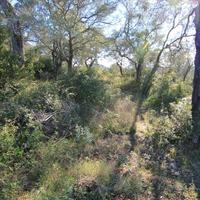 Земельный участок в Греции