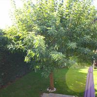 Townhouse in Greece, 200 sq.m.