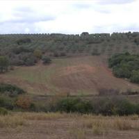 Land plot in Greece