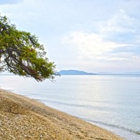 Отель (гостиница) в Греции, 700 кв.м.