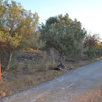 Land plot in Greece