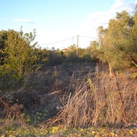 Land plot in Greece