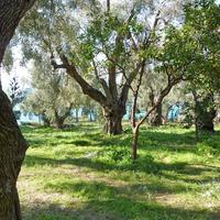 Земельный участок в Греции