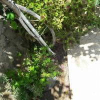 Villa in Greece, 150 sq.m.