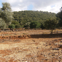 Land plot in Greece, 4793 sq.m.