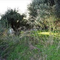 Земельный участок в Греции