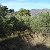 Земельный участок в Греции, 314 кв.м.