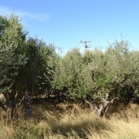 Земельный участок в Греции, 516 кв.м.