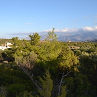 Земельный участок в Греции, 4600 кв.м.