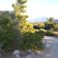 Земельный участок в Греции, 4600 кв.м.