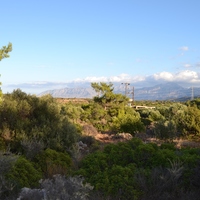 Земельный участок в Греции, 4600 кв.м.