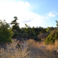 Земельный участок в Греции, 4600 кв.м.